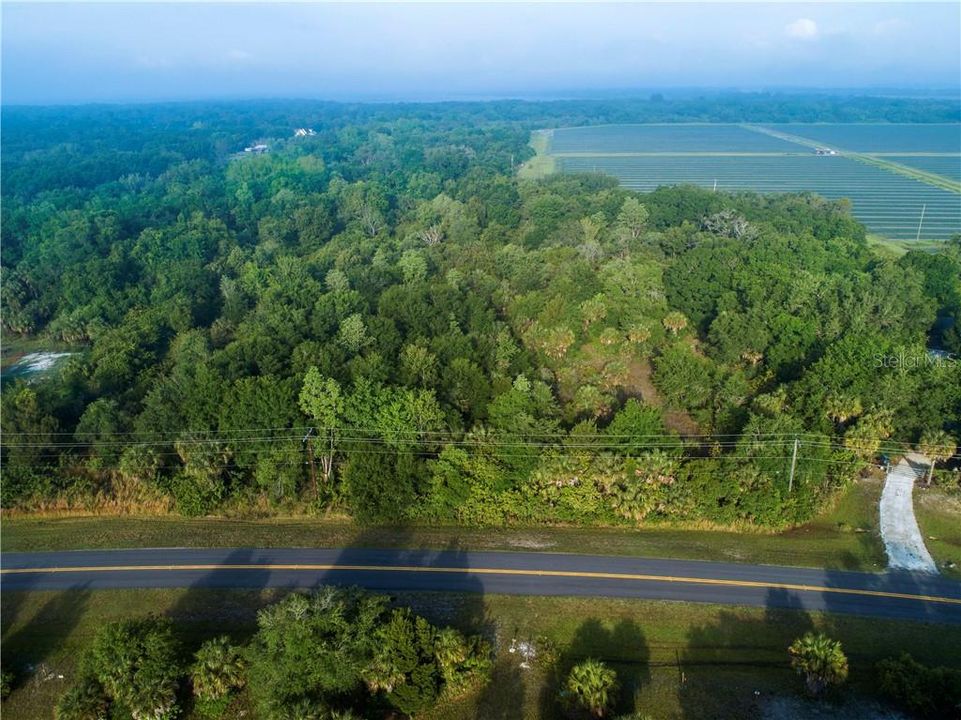 Vendido Recientemente: $104,900 (1.56 acres)