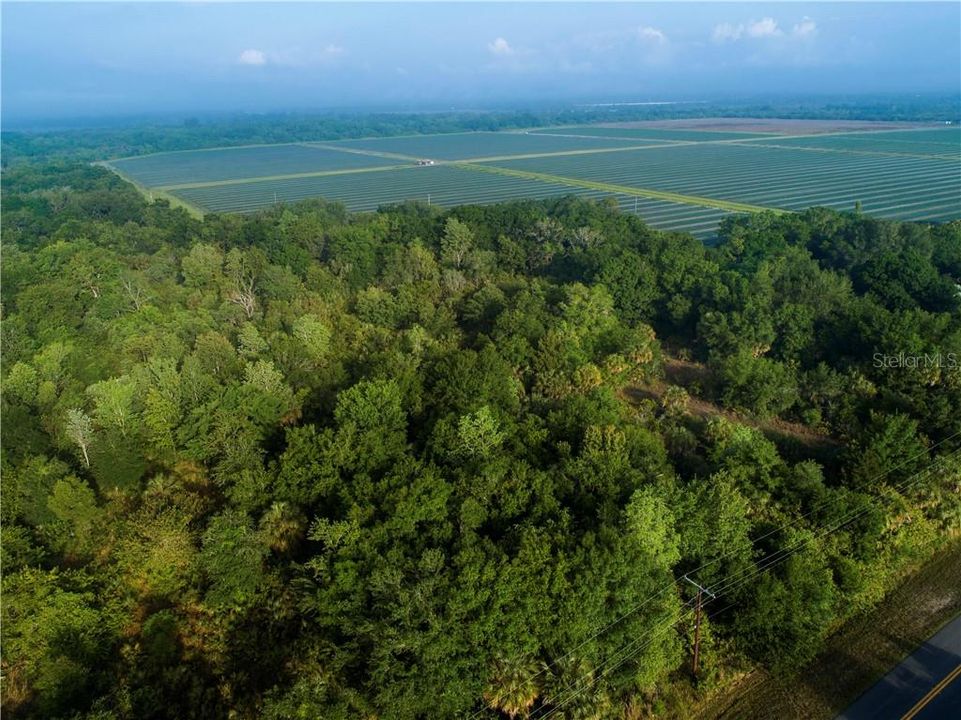 Vendido Recientemente: $104,900 (1.56 acres)