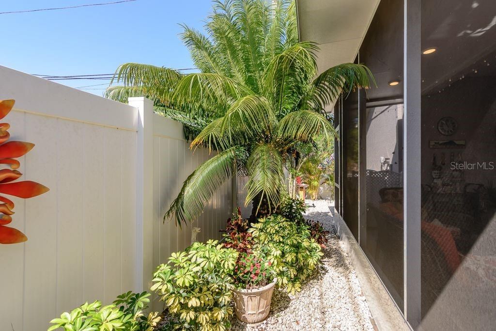 Natural Florida plants offer a burst of color and some shade while sitting on the screened patio.