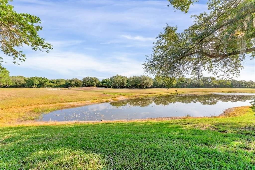 VIEW OF GOLF COURSE