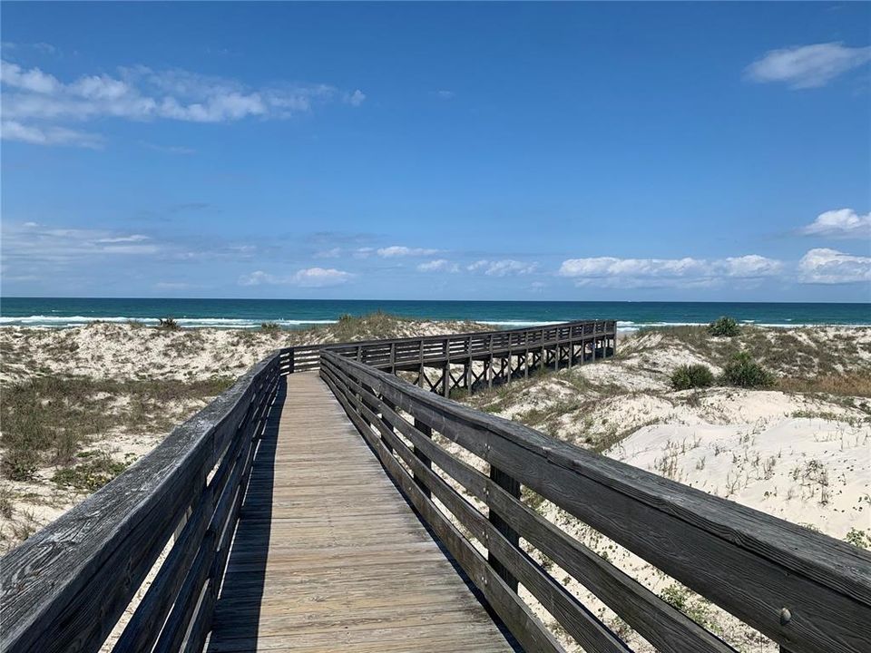 Walking down the boardwalk you will pass amazing local native plants, protected Gopher turtle homes and beautiful sand dunes before seeing the gorgeous Ponce Inlet beach.