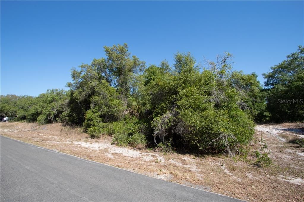 Recently Sold: $19,500 (0.41 acres)