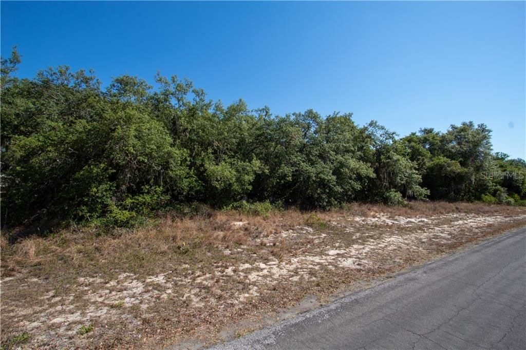Recently Sold: $19,500 (0.41 acres)