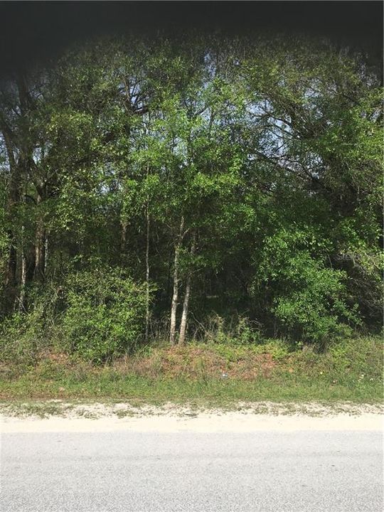 Recently Sold: $31,000 (1.16 acres)