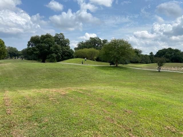 Recently Sold: $35,900 (0.36 acres)