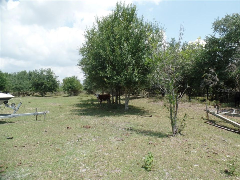 Desoto County acreage