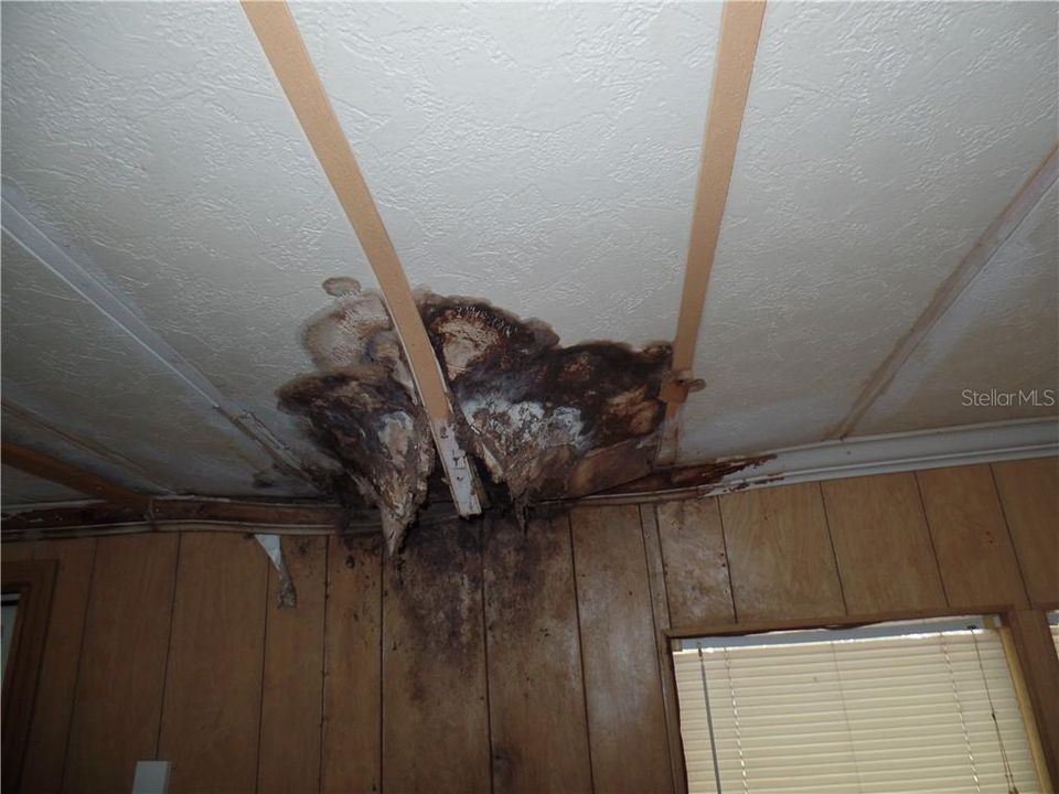 Damage ceiling in family room