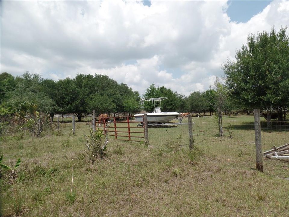 Nearby horses and cows graze on the land.  Not owned by seller.