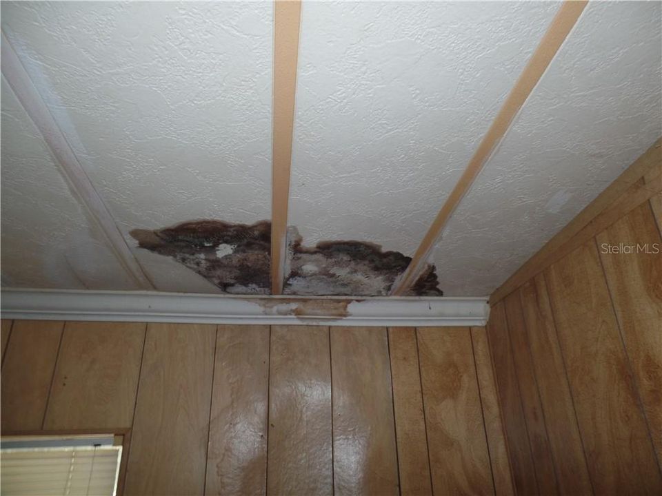 Ceiling Damage in Family Room