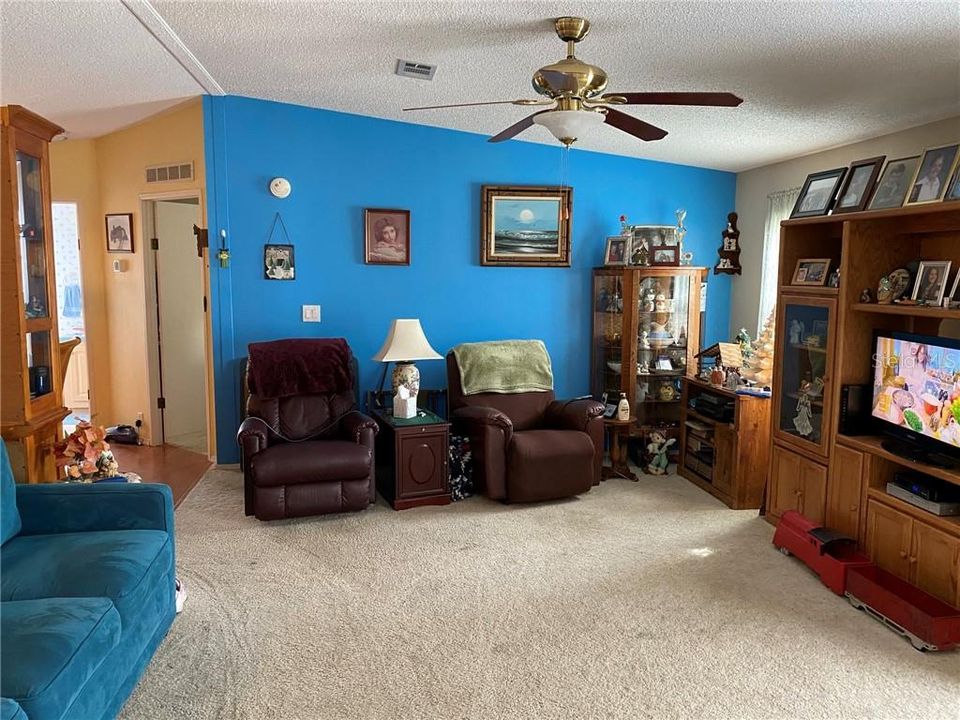 Large Living room