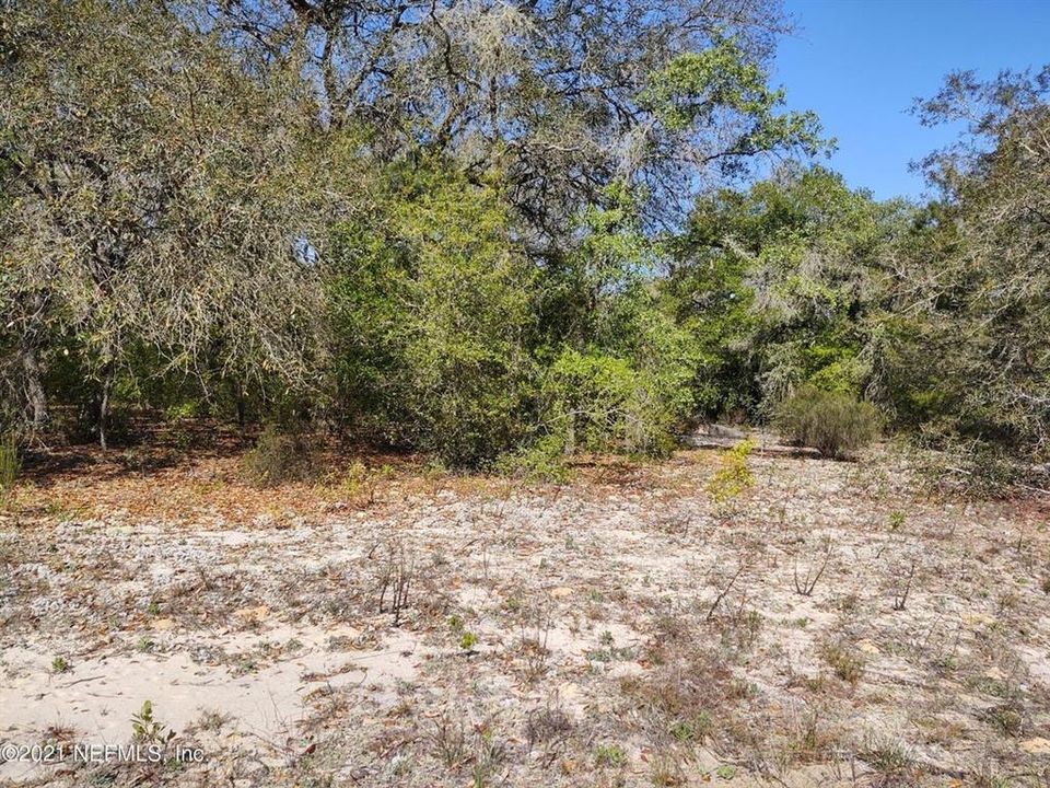 Recently Sold: $3,000 (0.22 acres)