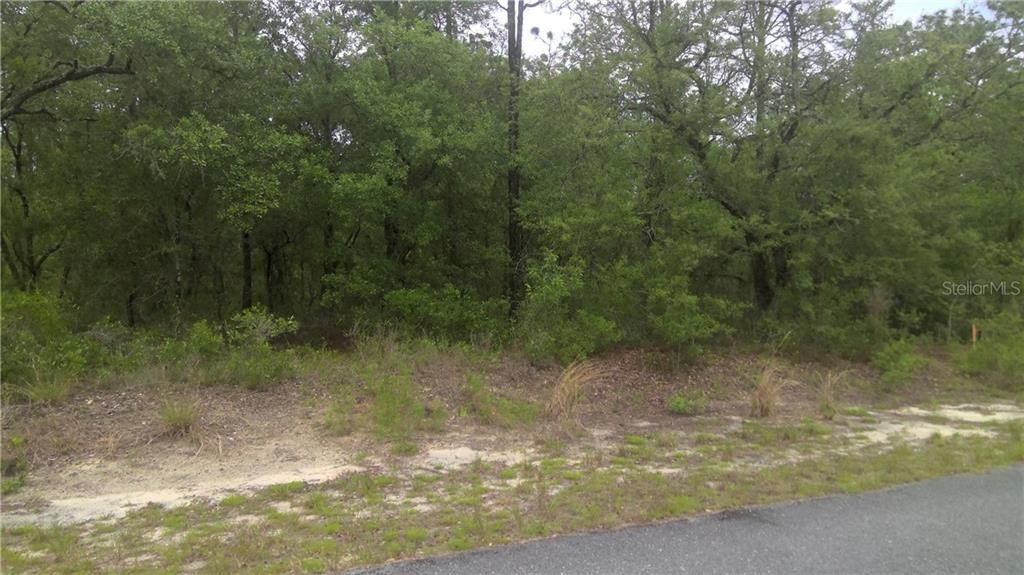 Recently Sold: $12,000 (0.99 acres)