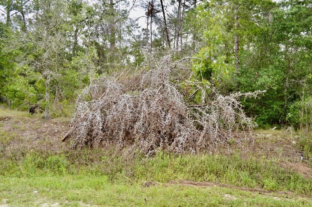 Недавно продано: $70,000 (1.49 acres)