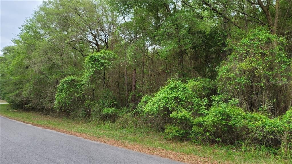 Recently Sold: $18,500 (1.03 acres)