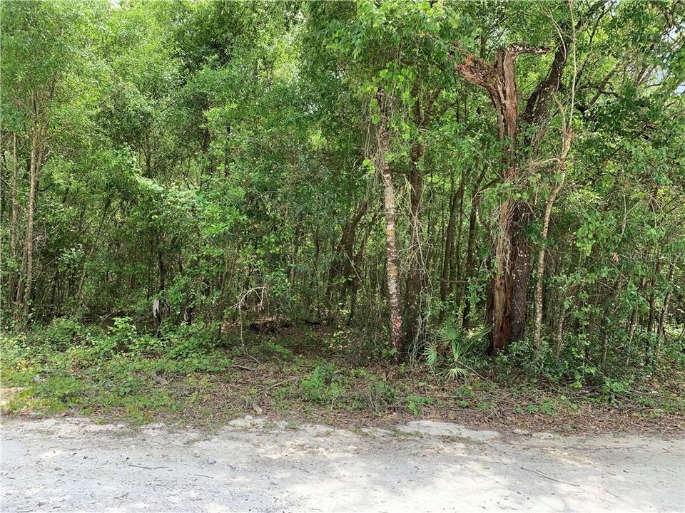 Recently Sold: $8,500 (0.53 acres)