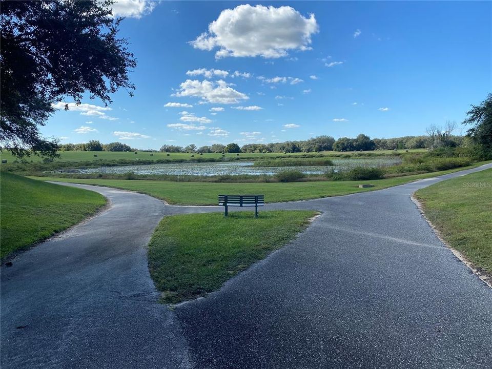 WALKING PATH WITH PARK BENCH OVERLOOKING ONE OF THE MANY PONDS