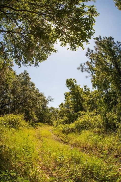 Recently Sold: $899,000 (31.39 acres)
