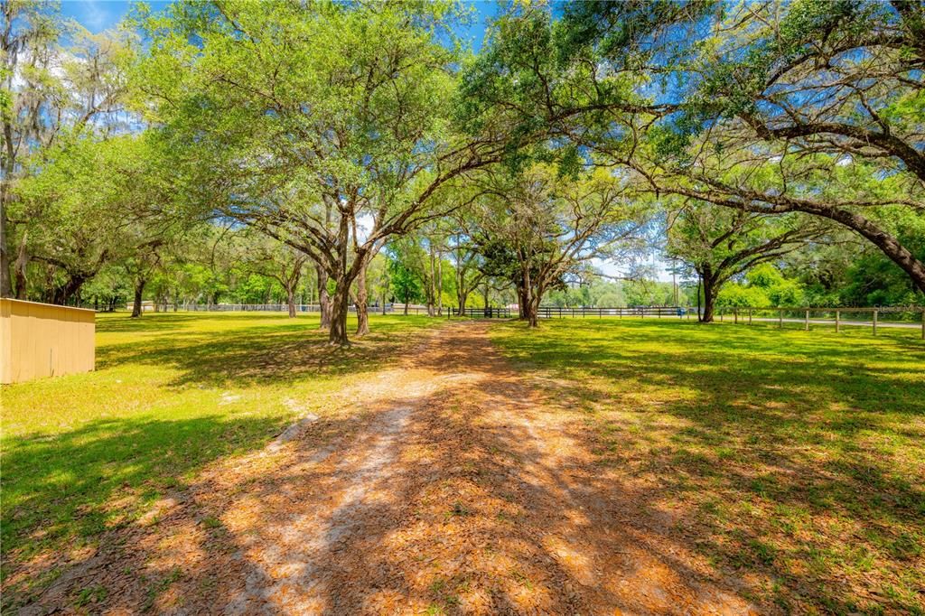 View from Middle of Property Towards Gate