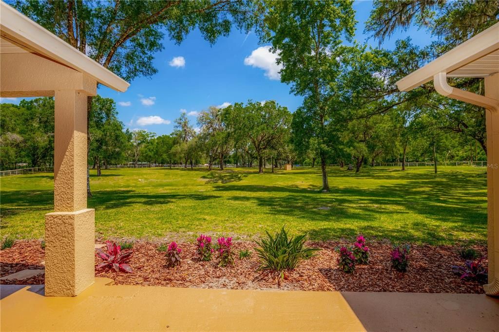 View From Front Porch Towards Gate