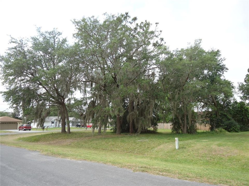 Corner lot
