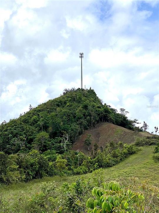 Vendido Recientemente: $600,000 (54.00 acres)