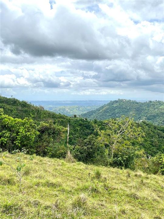 Недавно продано: $600,000 (54.00 acres)