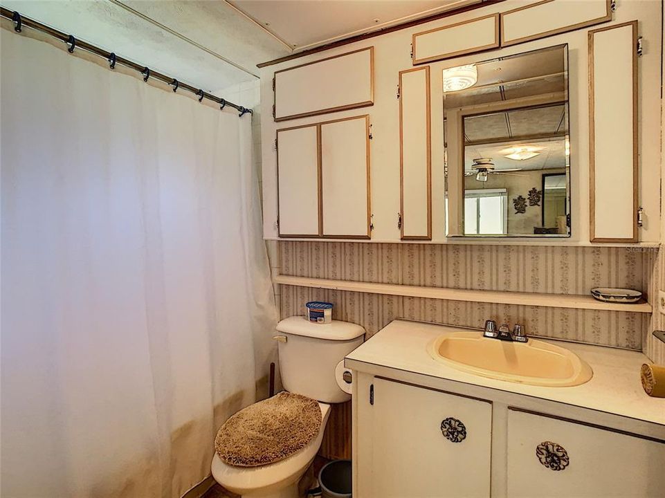 Master Bathroom tub and shower combo