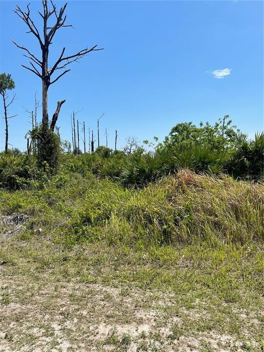 Vendido Recientemente: $9,900 (0.26 acres)