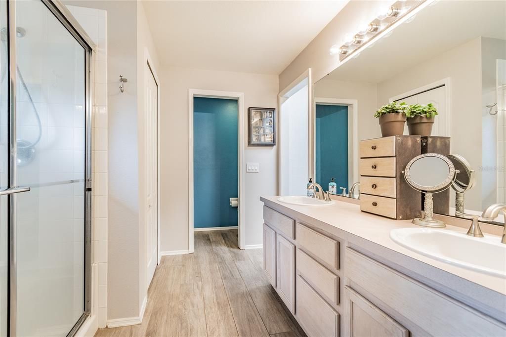 Master bathroom with walk-in closet to the right and private toilet space in the back.