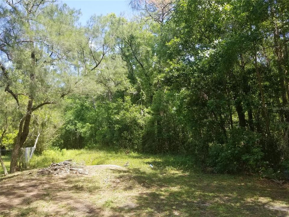 View from Sunflower Trail of Canal area which running behind property to Econ River.