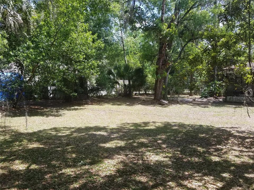 Mature trees & native landscape provide a natural privacy between neighbors.