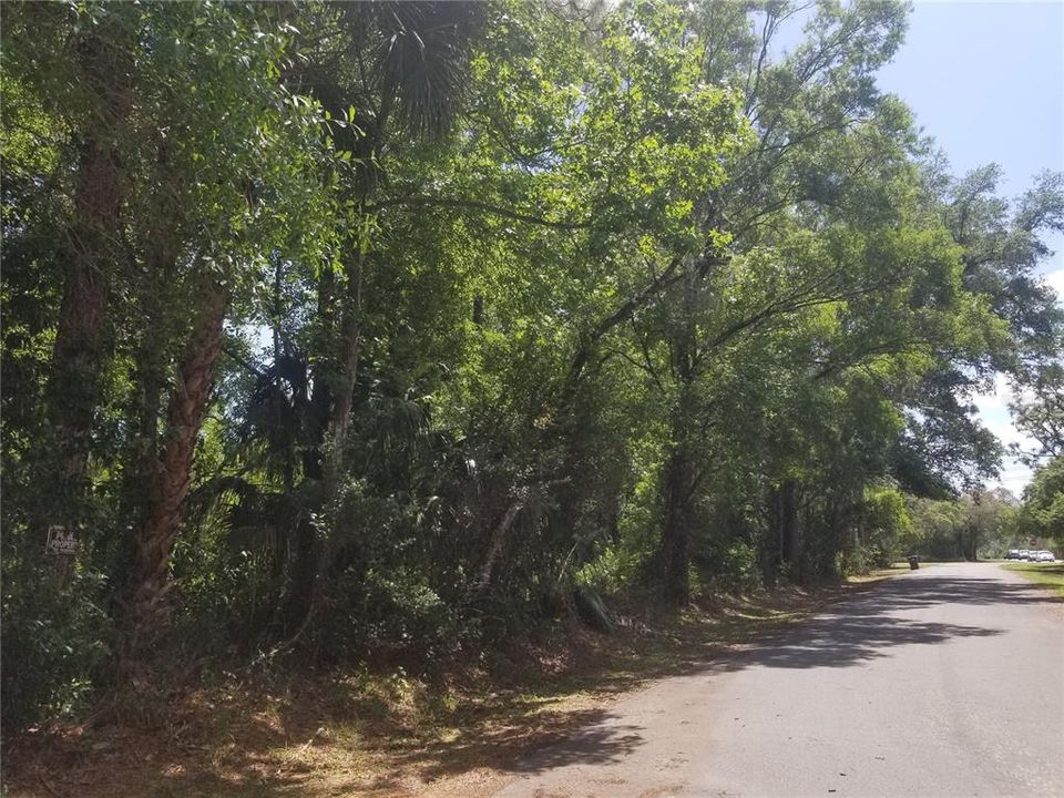 Back of property near canal looking toward front of property & Old Cheney Hwy.