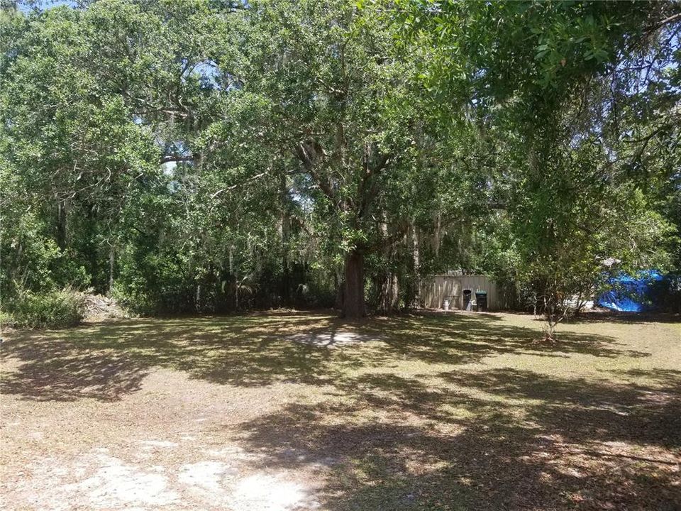 Cleared area of backyard, property continues beyond the trees back to the canal area