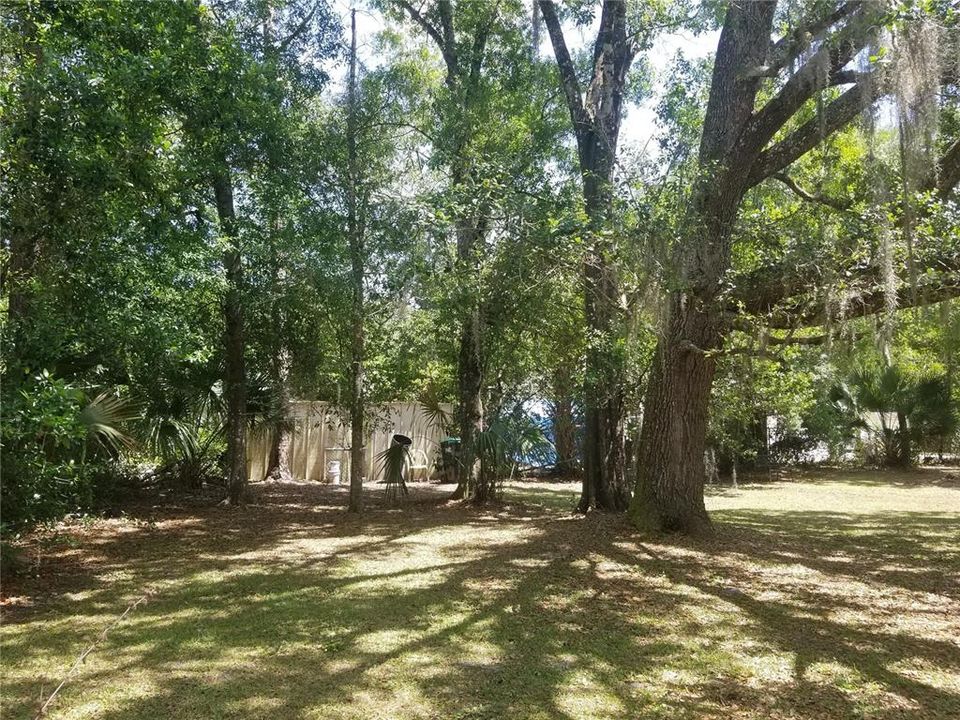 Natural beauty and charm. Tall shade trees provide a more enjoyable outdoor space and relief from the heat.