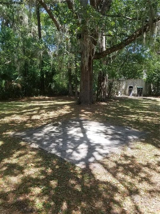 Shade trees provide a more enjoyable outdoor space and relief from the heat. In photo is one of several poured concrete slabs ready for your use.