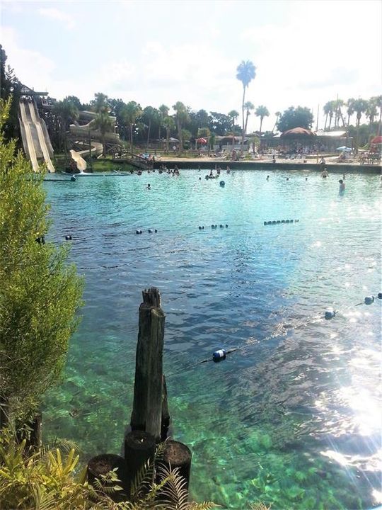 WEEKI WACHEE SPRINGS