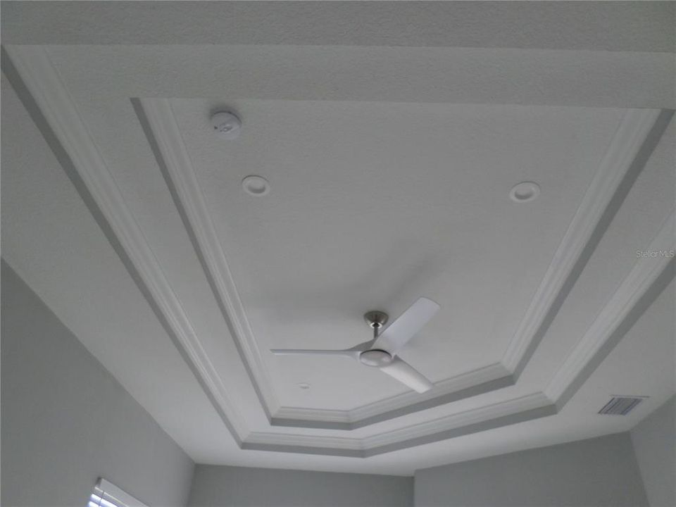 DINING ROOM CEILING VAULTED