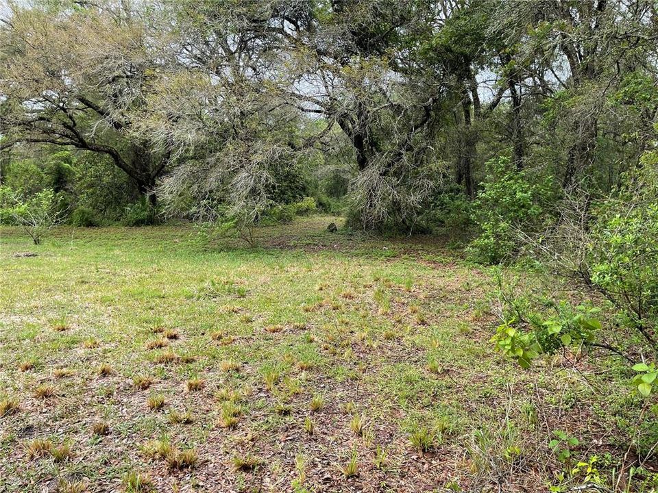 Vendido Recientemente: $79,900 (4.84 acres)