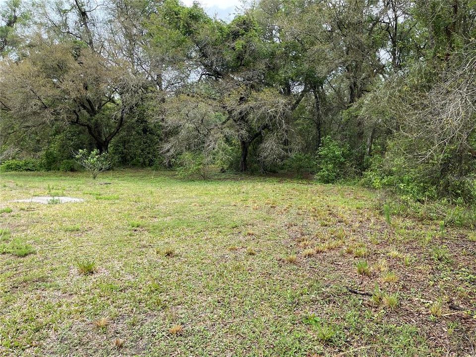 Vendido Recientemente: $79,900 (4.84 acres)