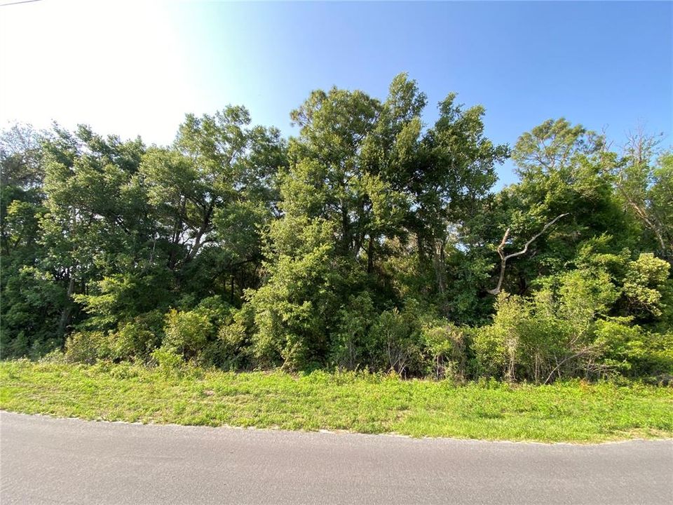 Recently Sold: $114,900 (1.63 acres)
