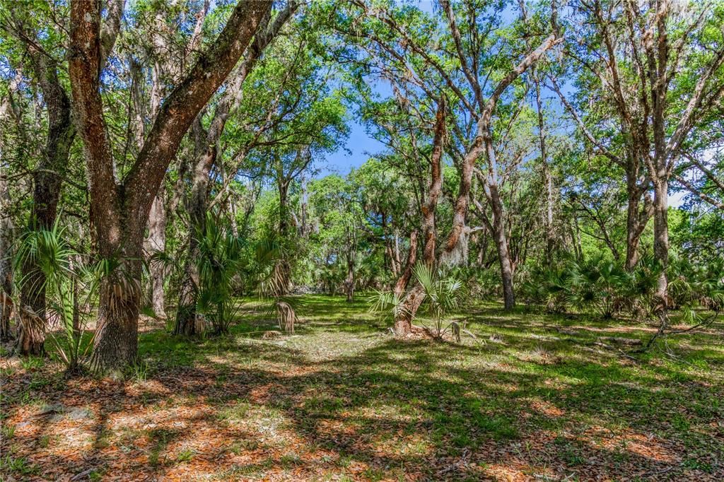 Recently Sold: $399,000 (5.37 acres)