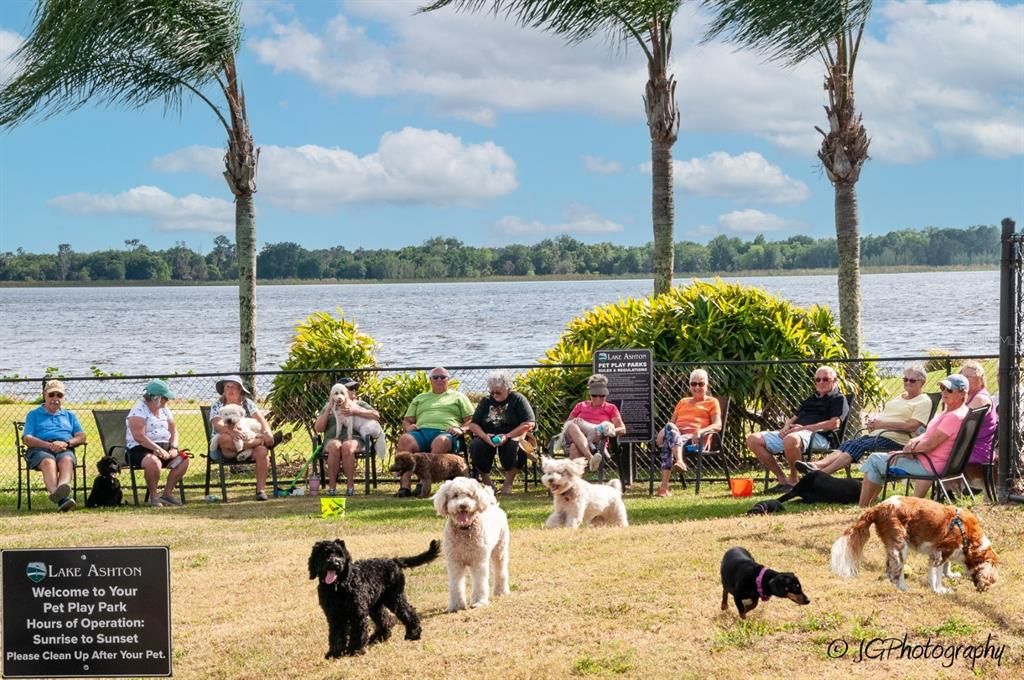 Lake Ashton has 3 dog parks throughout the community.