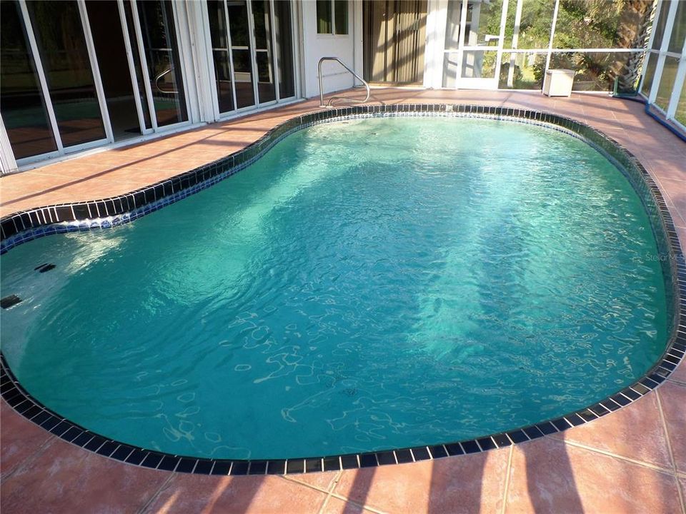 OVER SIZED POOL WITH SCREENED CAGE OVELOOKS THE PRIVATE ACREAGE!!