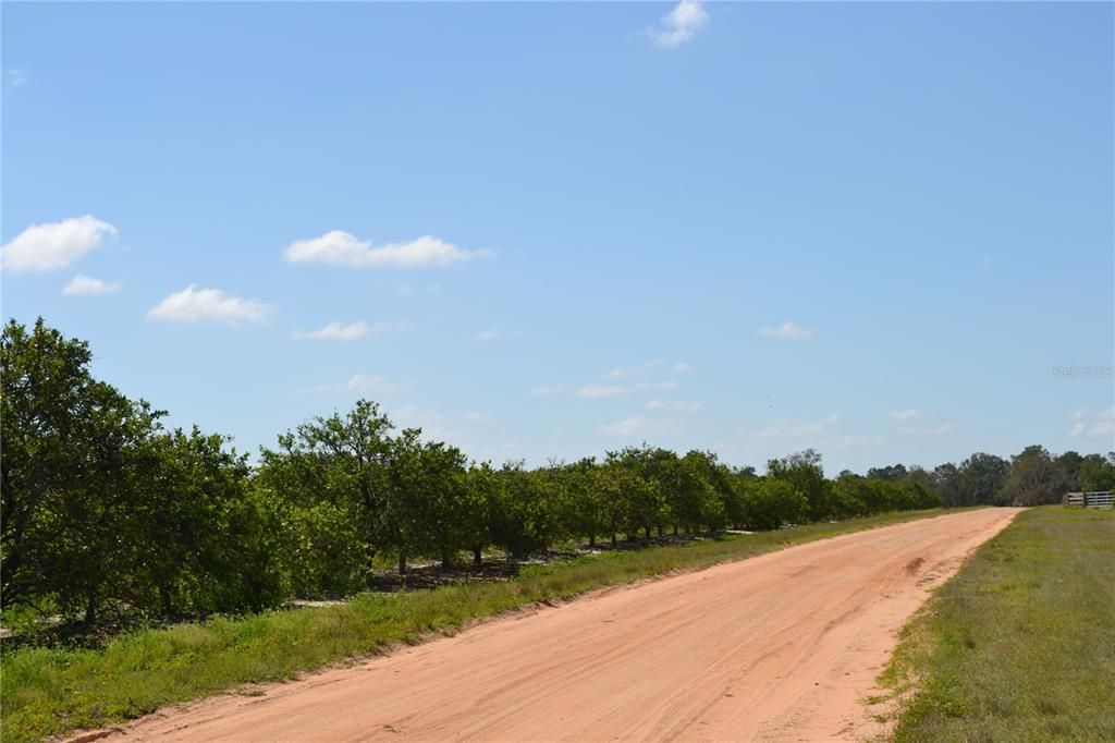 Recently Sold: $360,000 (18.85 acres)