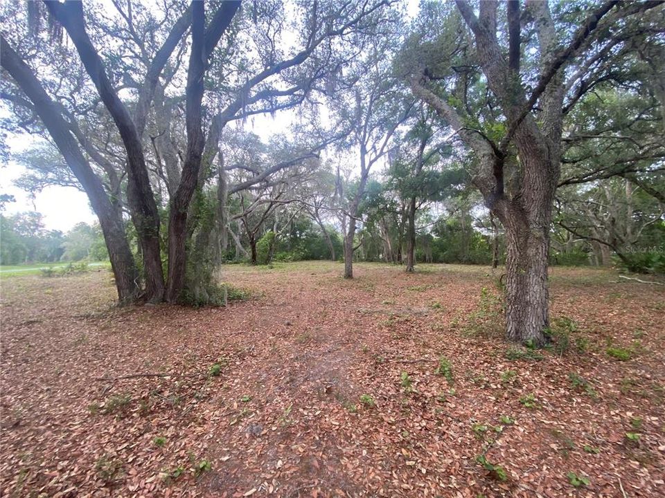 Recently Sold: $49,900 (3.17 acres)