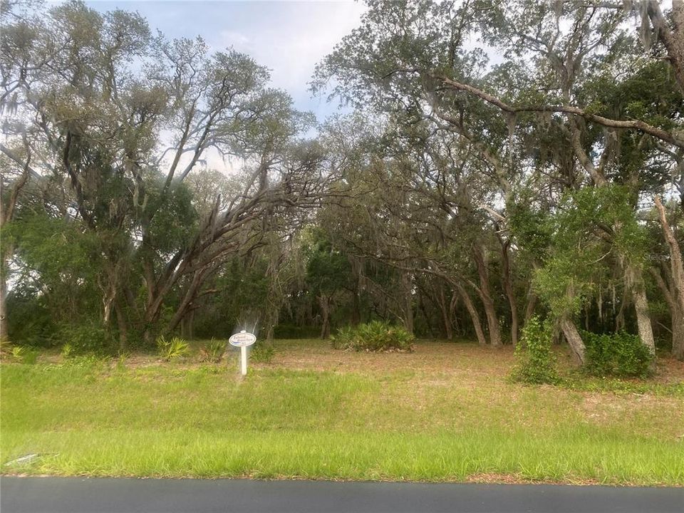 Recently Sold: $49,900 (3.17 acres)