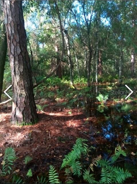 Recently Sold: $199,500 (9.99 acres)