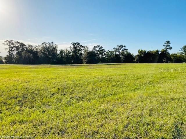 Vendido Recientemente: $99,900 (1.36 acres)