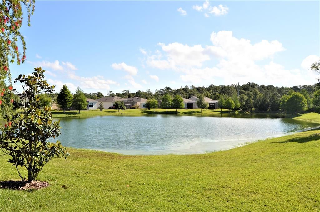 Pond View