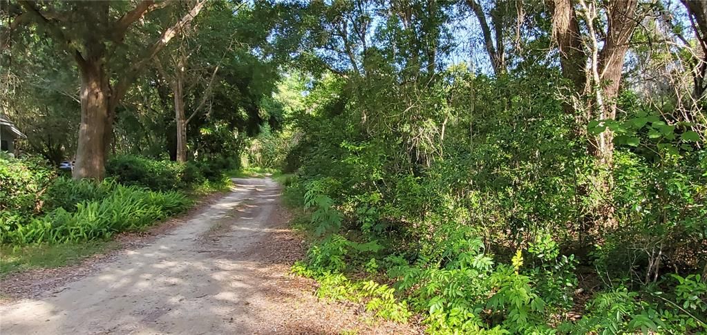 Looking East towards back of property on R.  There is a large width of county property that is the road, but not cleared, so gives a feeling of larger area.